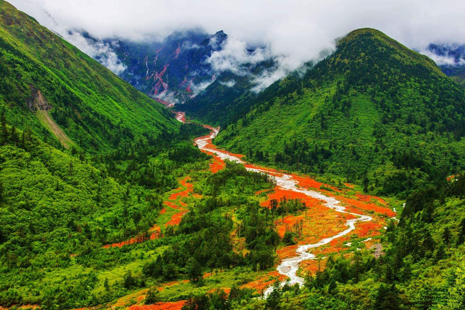 四川之韵的魅力风采