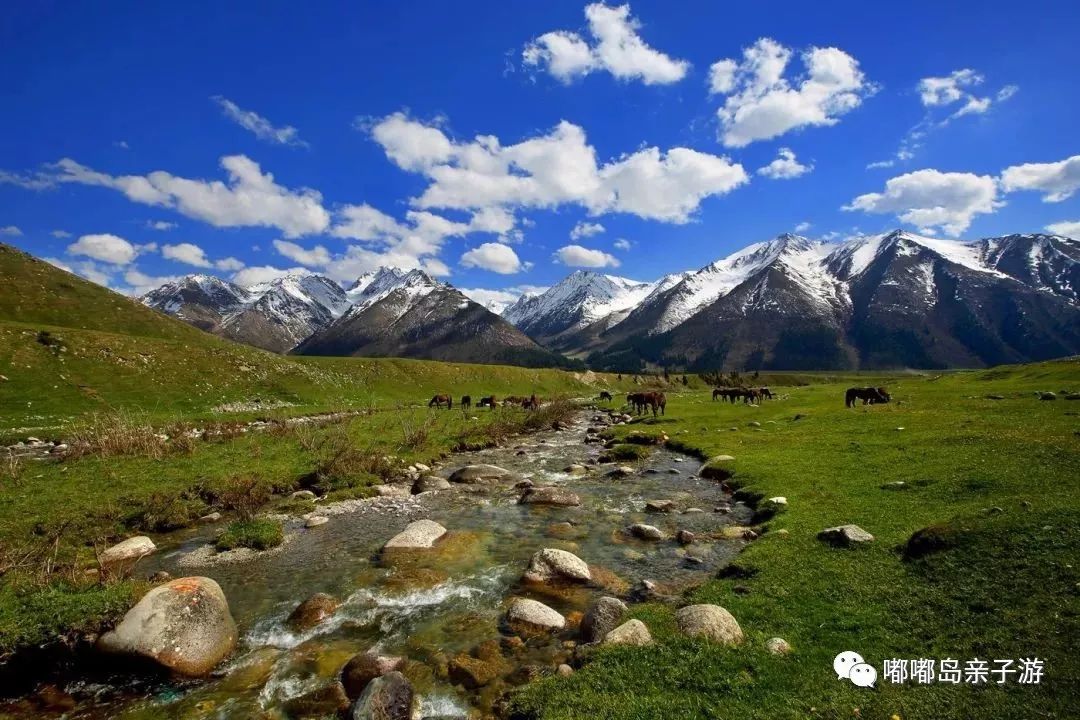 新疆,中华民族多元一体格局的历史见证与影响